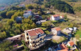 Apartments Sersic